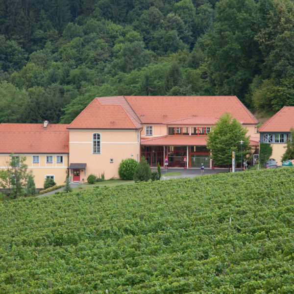 Hotelansicht vom JUFA Hotel Deutschlandsberg Sport-Resort mit Weinberg. Der Ort für erfolgreiches Training in ungezwungener Atmosphäre für Vereine und Teams.